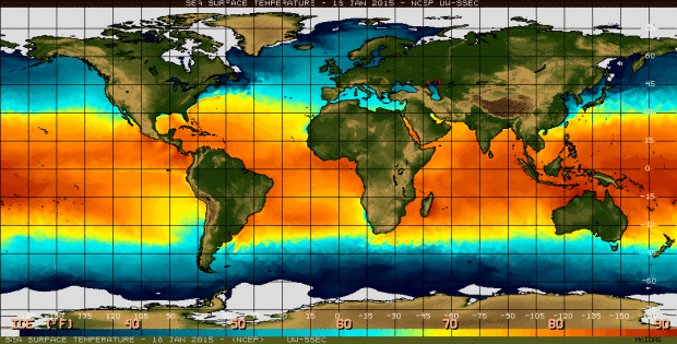 Sea surface temperature in the equatorial Pacific Ocean | January 18th, 2015 (NOAA)