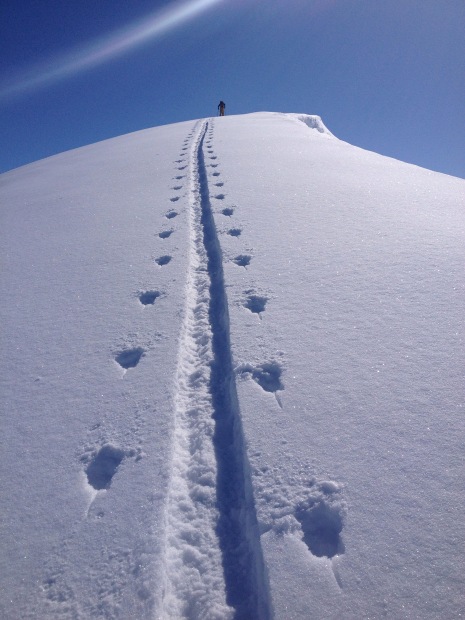 A perfect skintrack.  Turnagain Pass, AK.  photo:  snowbrains