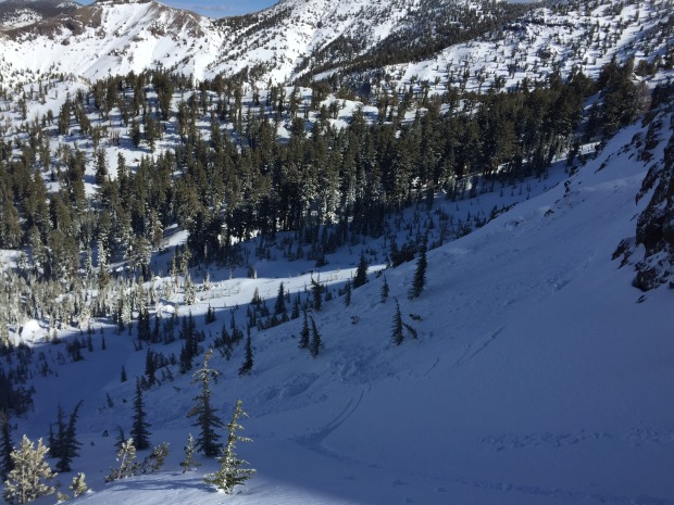 Photo of skier triggered avalanche near Gray's Creek.