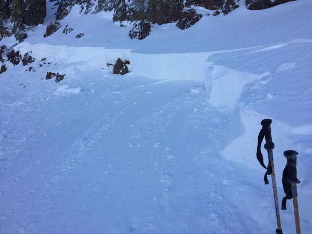 Photo of skier triggered avalanche near Gray's Creek.