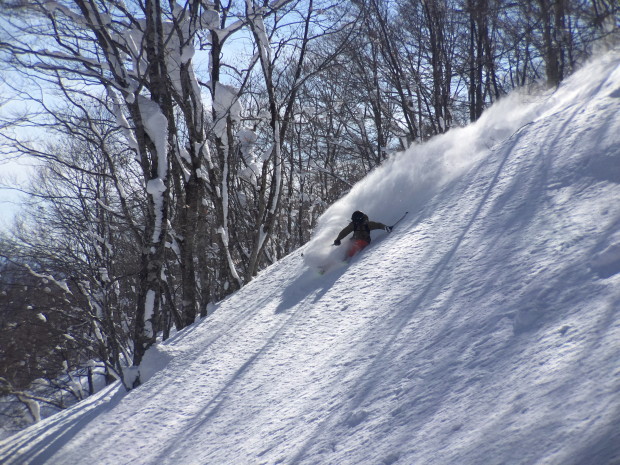 ON3P Jeffrey powder skiing in Japan.