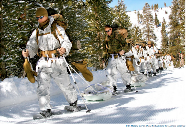 US Marines train to operate in medium- to high-altitudes, and severe weather and terrain conditions at the Marine Corps Mountain Warfare Training Center in Bridgeport, California, February 22, 2010.