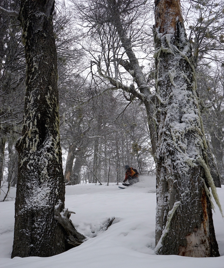 Even getting some good turns in the trees this week.