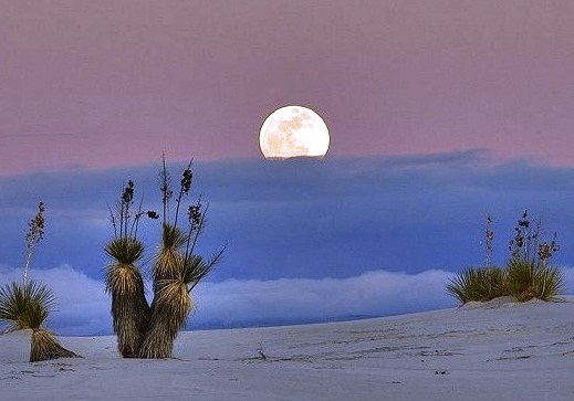 White Sands National Monument, New Mexico.