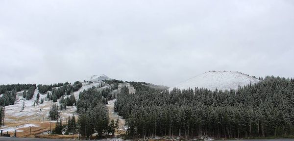 Snowing at Mt. Bachelor, OR today.