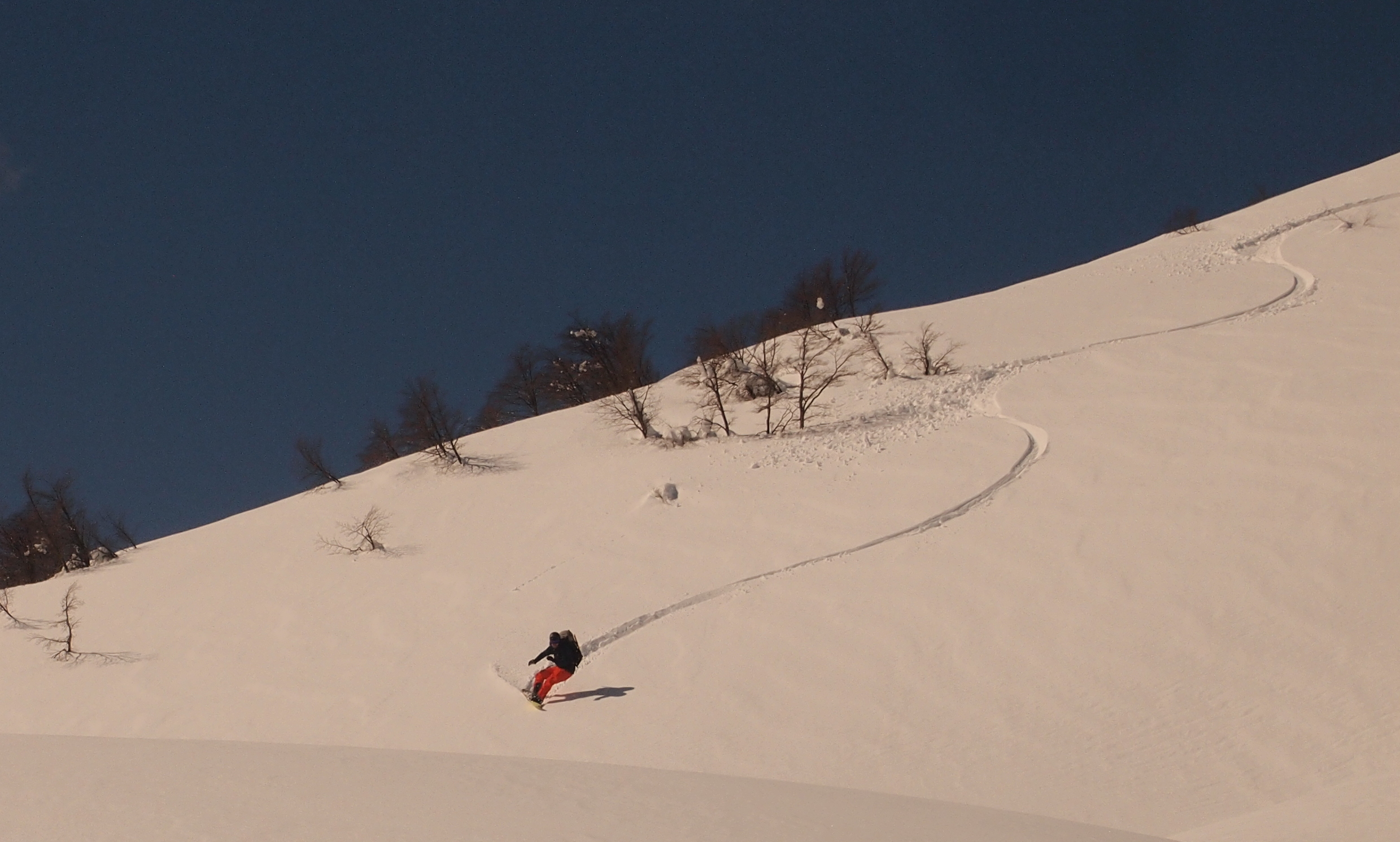 Sep gets some turns nearing the tree line: