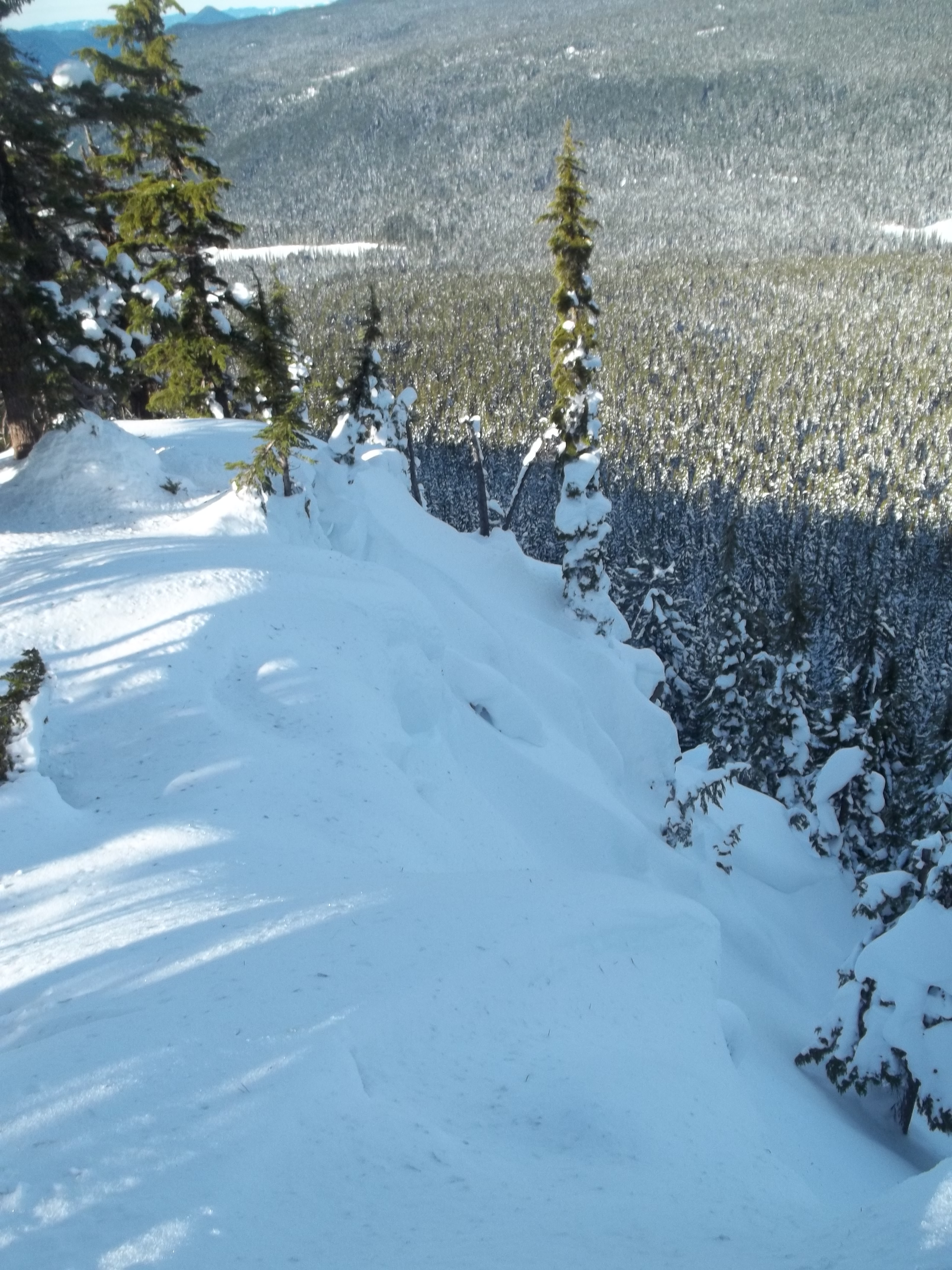 Willamette Pass Backcountry. Let's hope El Nino can do this for Oregon this winter.