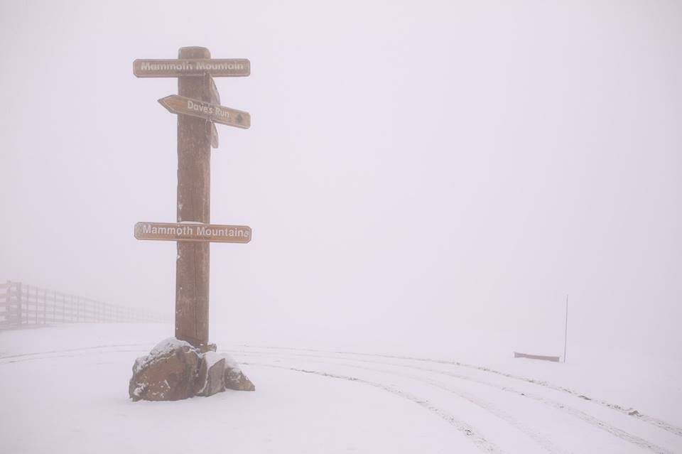 Summit of Mammoth today at 11,053' today at 11:30am. photo: mammoth