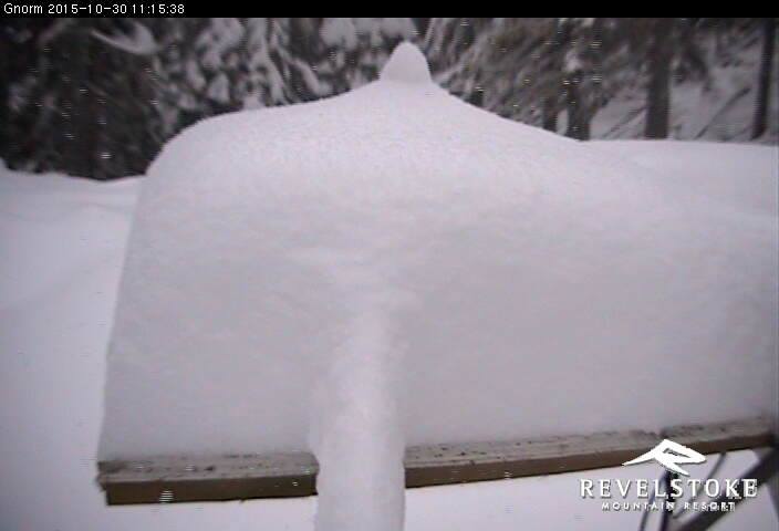 The Revelstoke, B.C. gnome is buried today.