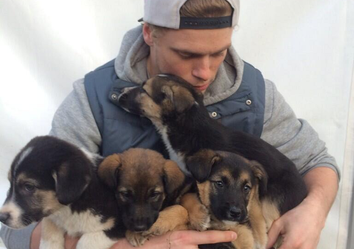 Gus rescued 5 puppies from Sochi, Russia last year.