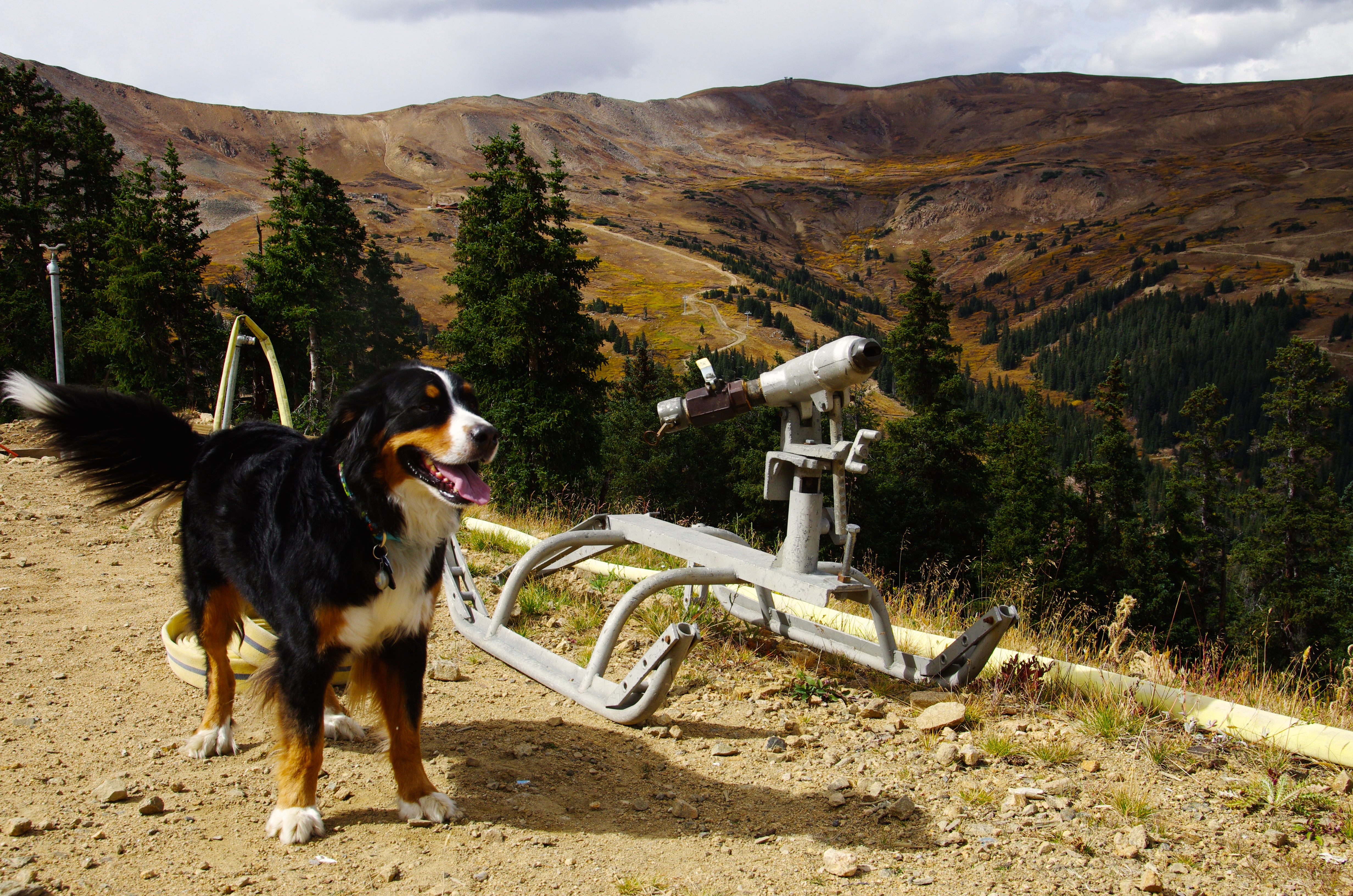 My assistant Toby checking out the snow guns on October 1st, 2015." - Loveland snowmaking crew