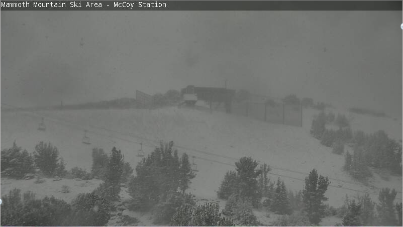 Mammoth from mid-station gondola today at 8:30am.  photo:  mammoth webcam