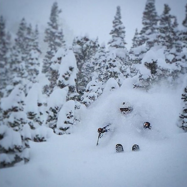 psst. hopefully it's like this this winte.. poo! [Photo: Teague Holmes/snowbrains, Skier: Aaron Rice]