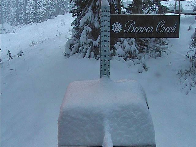 Beaver Creek snow stake showing 11" of snow today at 4:40pm.