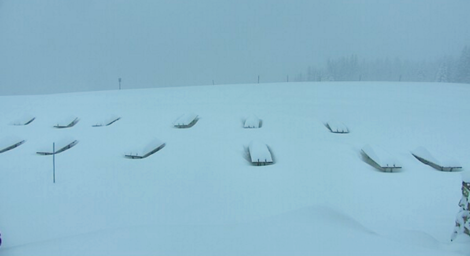 Vail today with 8" of new snow. photo: vail