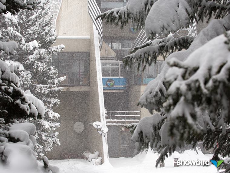 12" of new snow today at Snowbird, UT.  photo:  snowbird