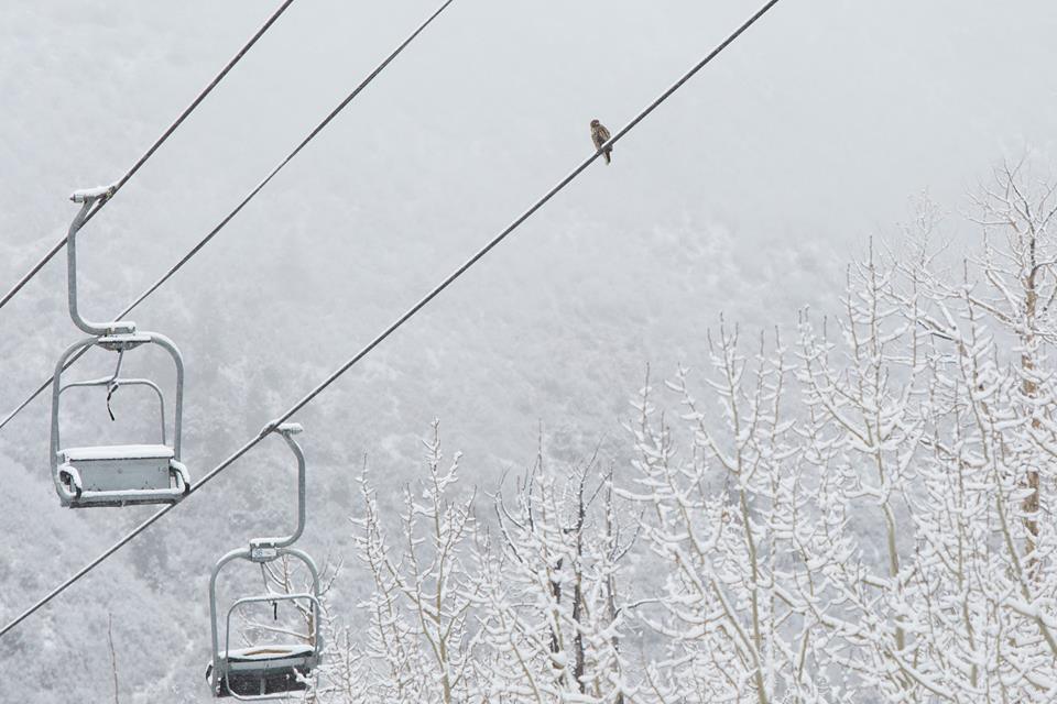 November 5th, 2015 at Aspen, CO after 7" of new snow.  photo:  aspen