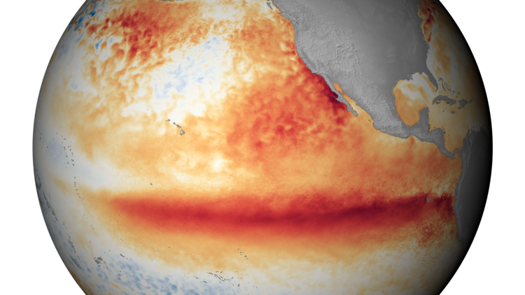 A satellite image shows the sea surface temperature in October, with the orange-red colors indicating above-normal temperatures that are indicative of El Niño. image: noaa