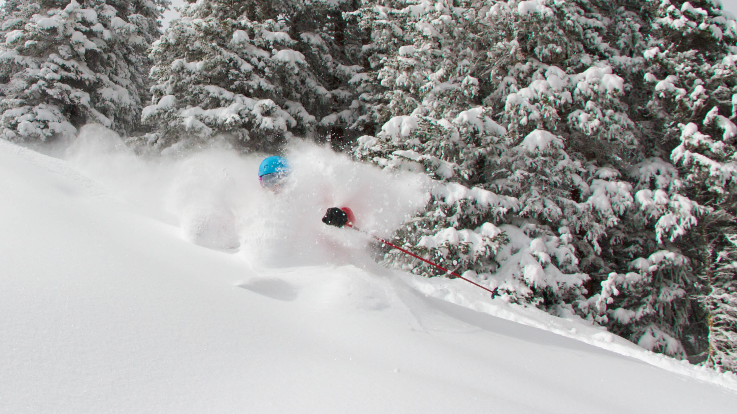 Hopefully there's a bit of this happening in Colorado this week. Silverton?