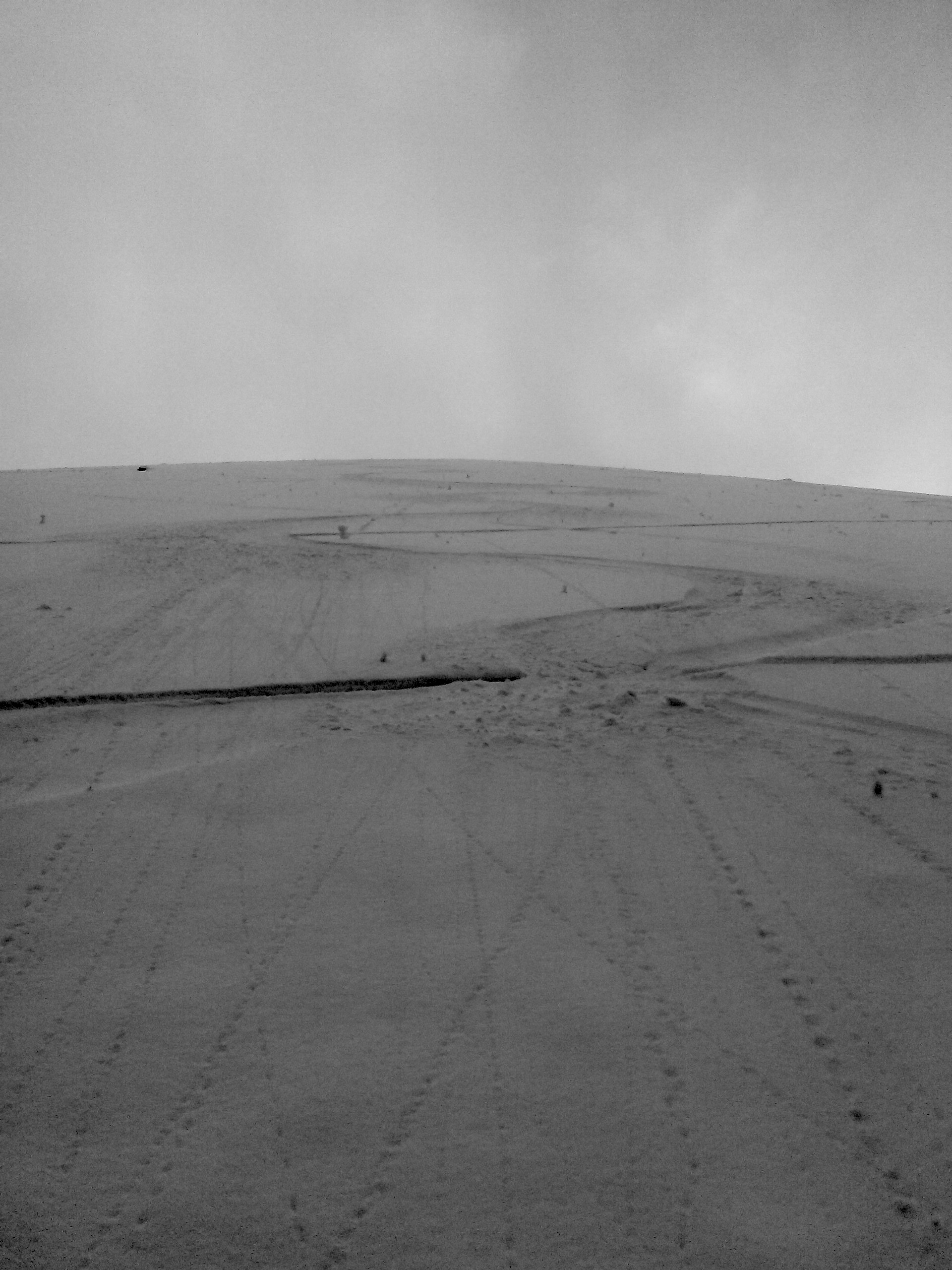 Tracks off the Cinder Cone