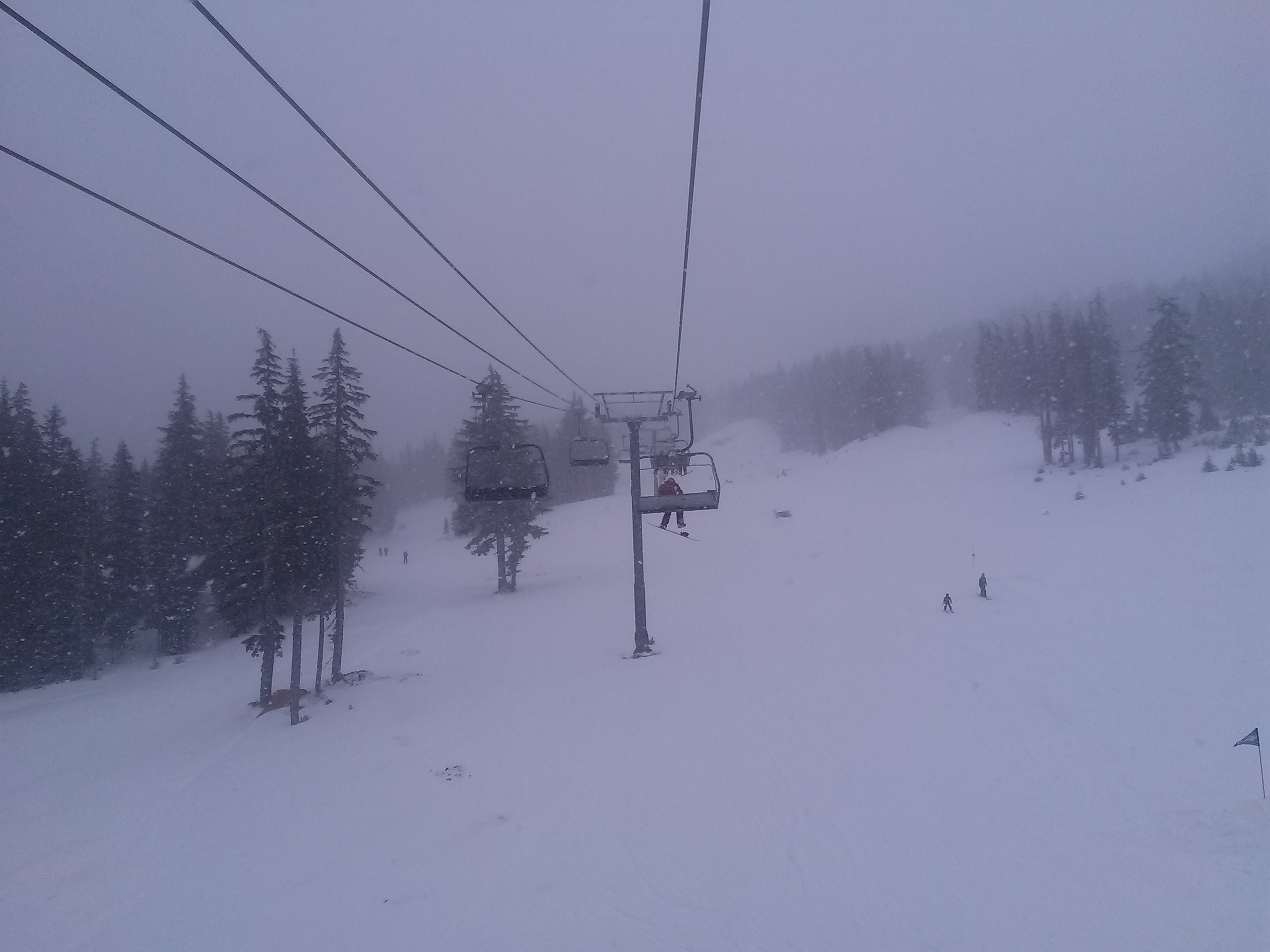 Snowing HARD today!
