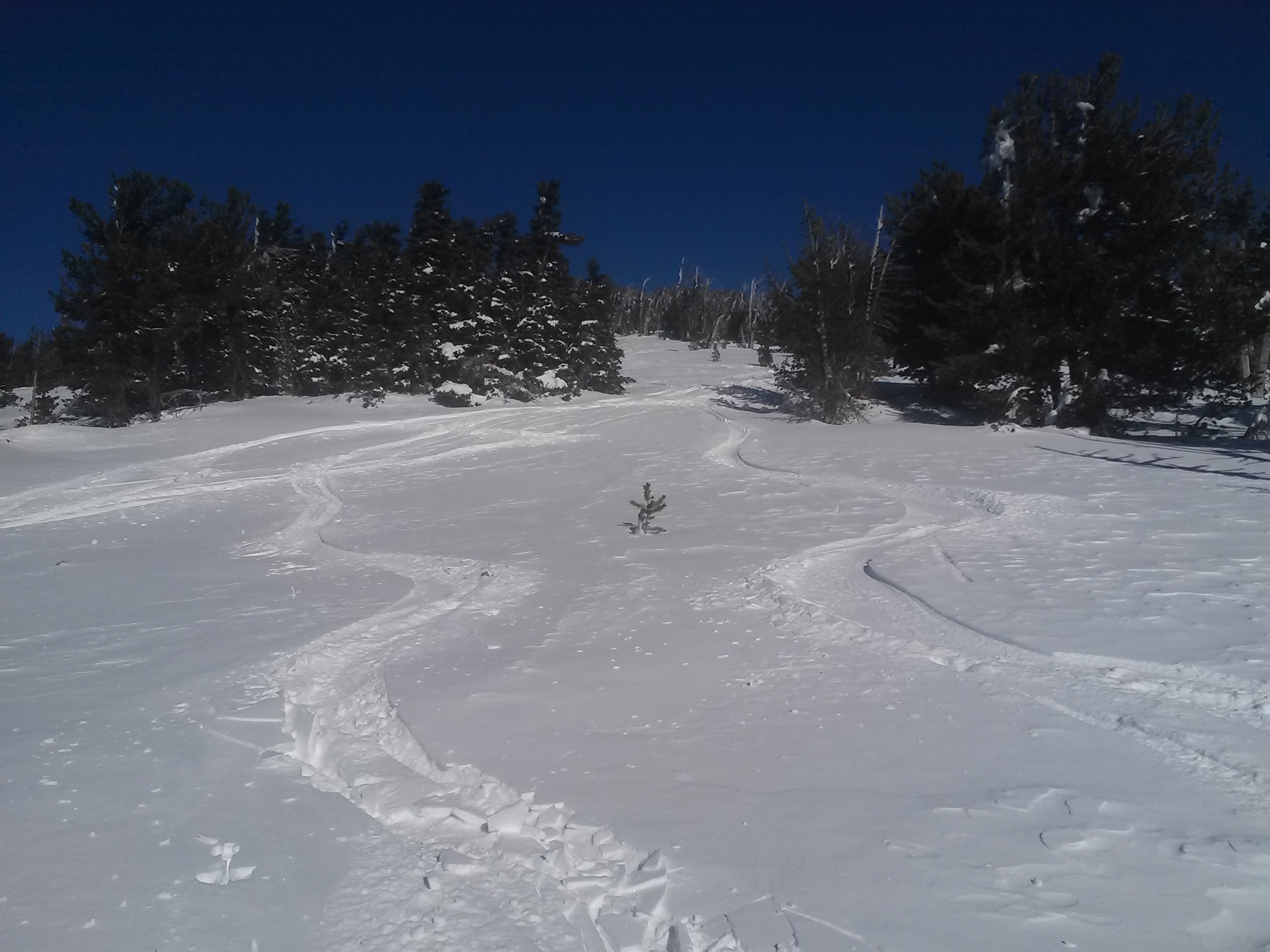 Skiing some powder on the South Side of Tumalo Mountain.