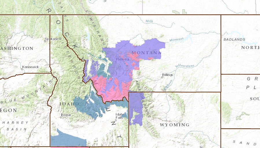 Montana displaying its Winter Storm Warnings (PINK) and Winter Weather Advisories (PURPLE)
