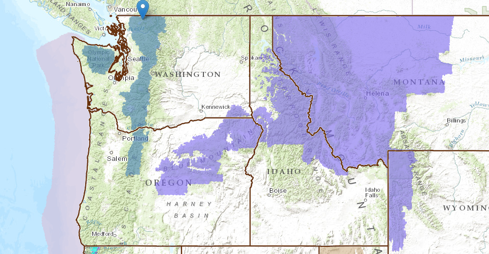 Pin = Mt. Baker ski area. BLUE = Winter Storm Watch for WA and OR for Tues-Thurs this week.