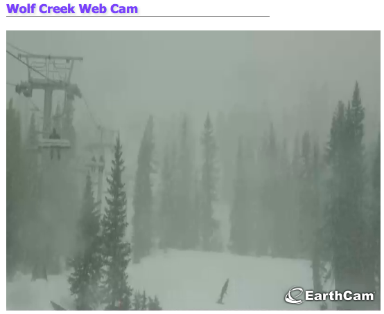 Wolf Creek today at 10am.