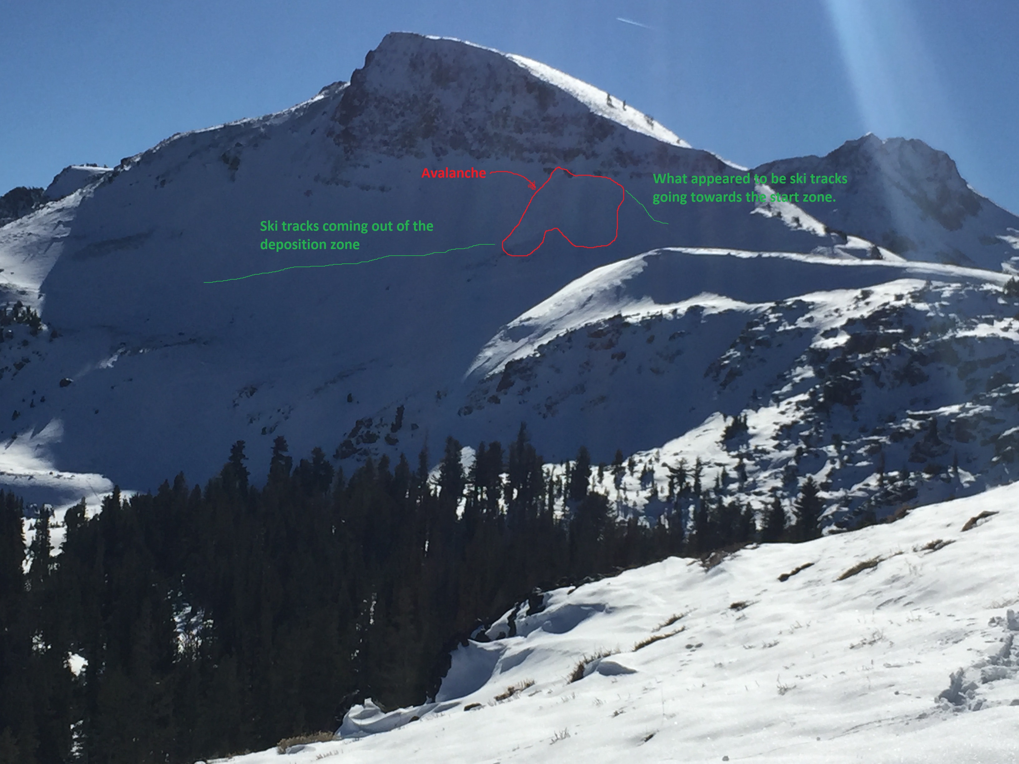Avalanche and ski tracks outlined by Sierra Avalanche Center on Elephants Back on Nov. 11th, 2015.