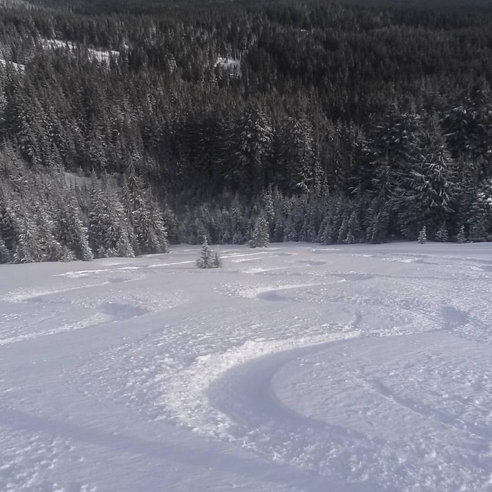 Skiing Powder in the Oregon Backcountry yesterday.