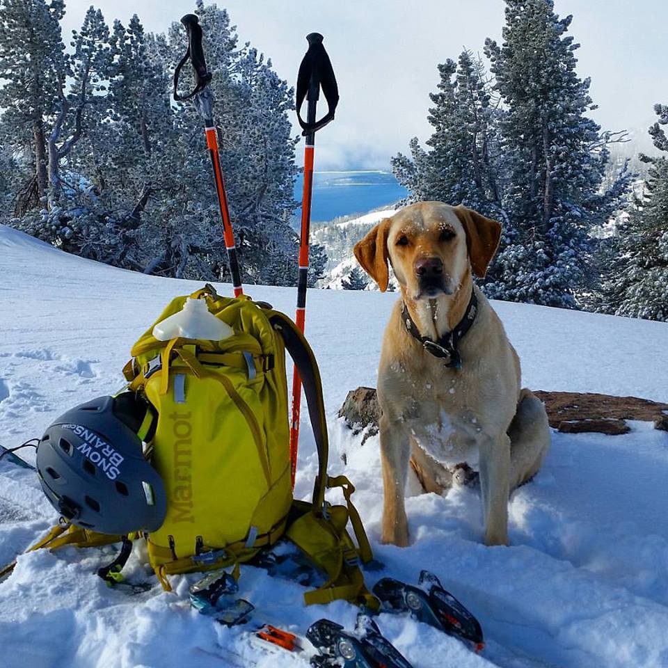 A dog's life. Incline Peak summit, Lake Tahoe, NV today. photo: eric bryant/snowbrains