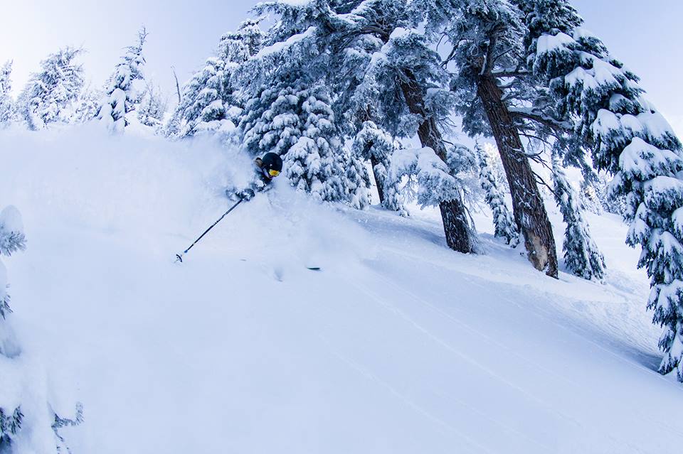Mt. Rose, NV.  Today.  The Chutes.  photo:  rose