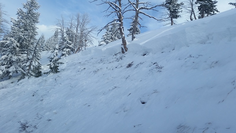 Photo of the avalanche crown today. image: sawtooth avalanche center
