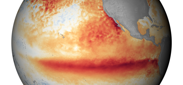 A satellite image shows the sea surface temperature in October 2015, with the orange-red colors indicating above-normal temperatures that are indicative of El Niño. image: noaa