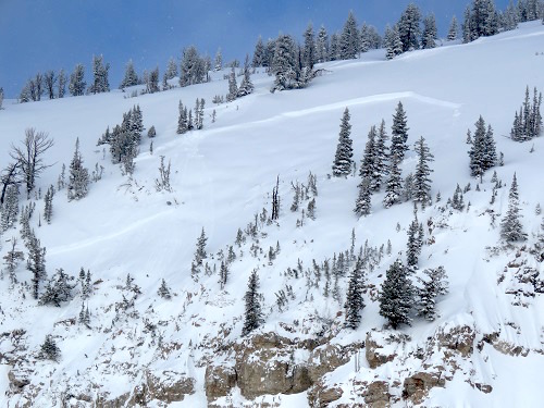 Avalanche that killed two skiers just outside of Jackson Hole, WY in Rock Springs on January 23rd, 2016. Neither skier had any avalanche gear. photo: bridger teton avy center