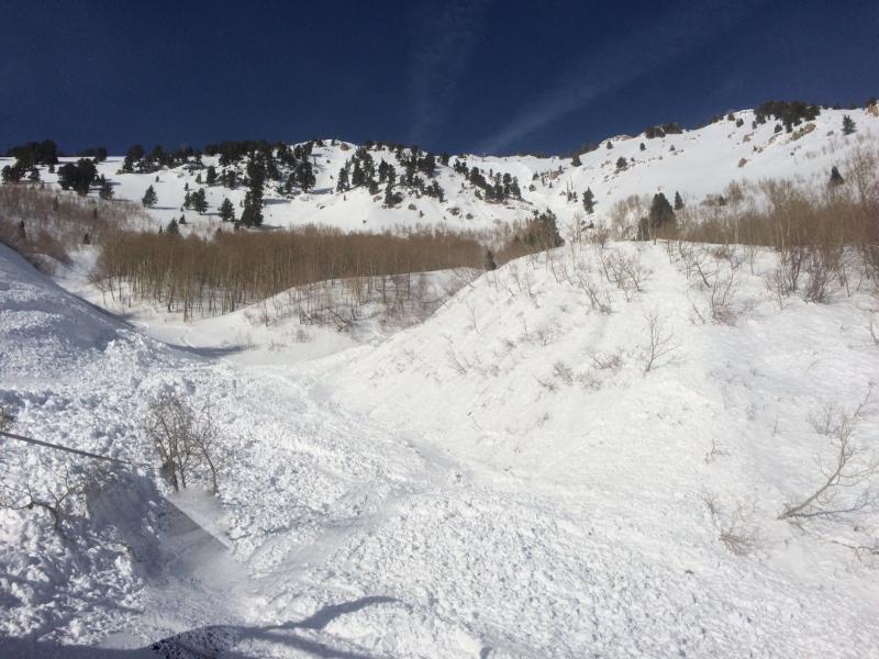 Gobbler's Nob avalanche today. image: uac