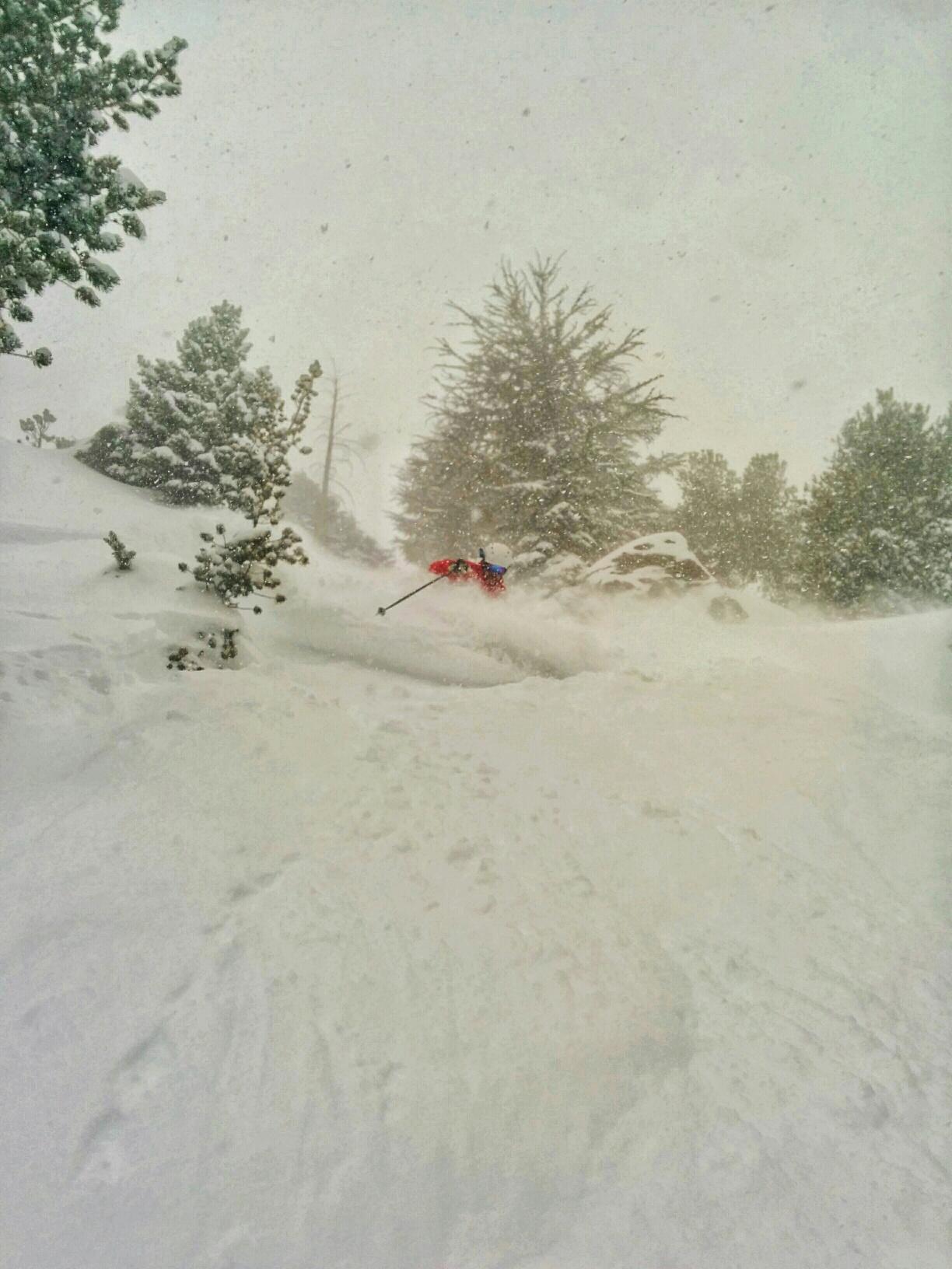      30-43" of new snow out on Mammoth Mountain. Photo: Rondo Bauer