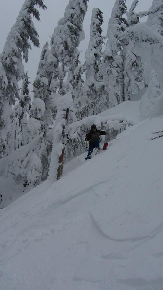 Ripping in the Willamette Pass trees. Great terrain and bottomless powder!