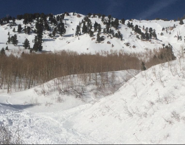 Gobbler's Nob avalanche today. image: uac