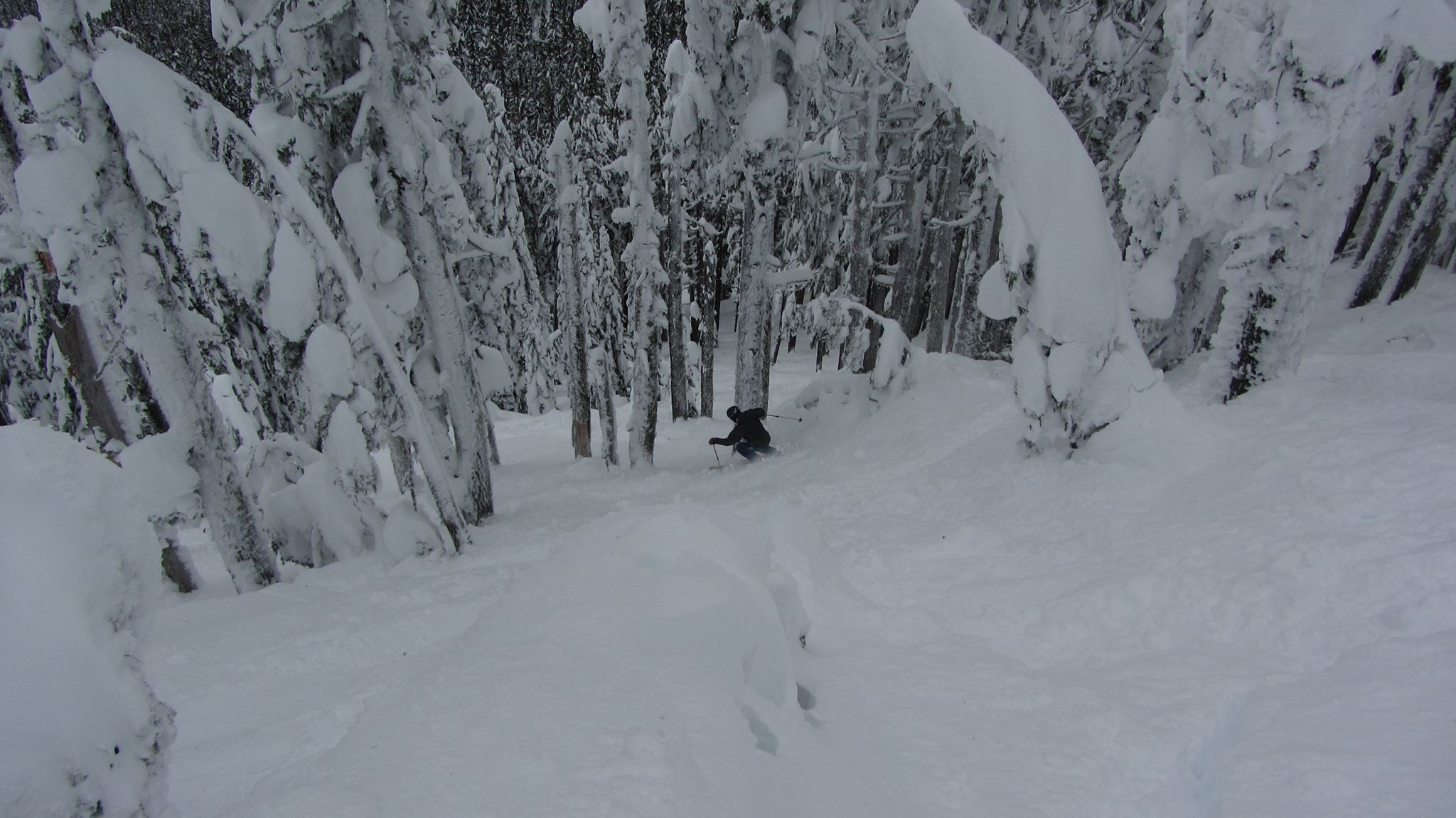 Just more epic powder ripping in the gnarly woods. Endless stoke day!