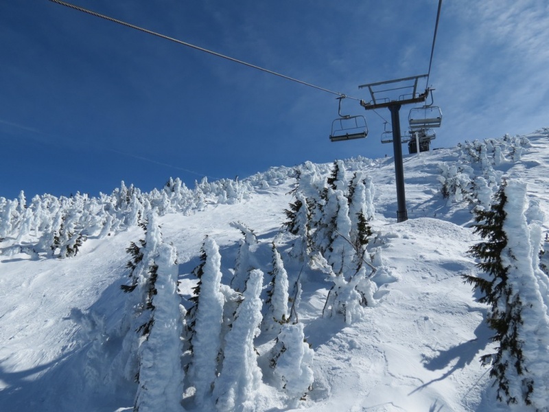 See the pow lapping potential on the Northwest Express at Mt. Bachelor? photo: unofficialmtbachelor.com