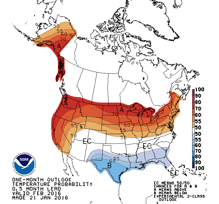 NOAA's February temperature outlook is showing above average precip for no ski states. only the southern US is forecast to experience below average temps.