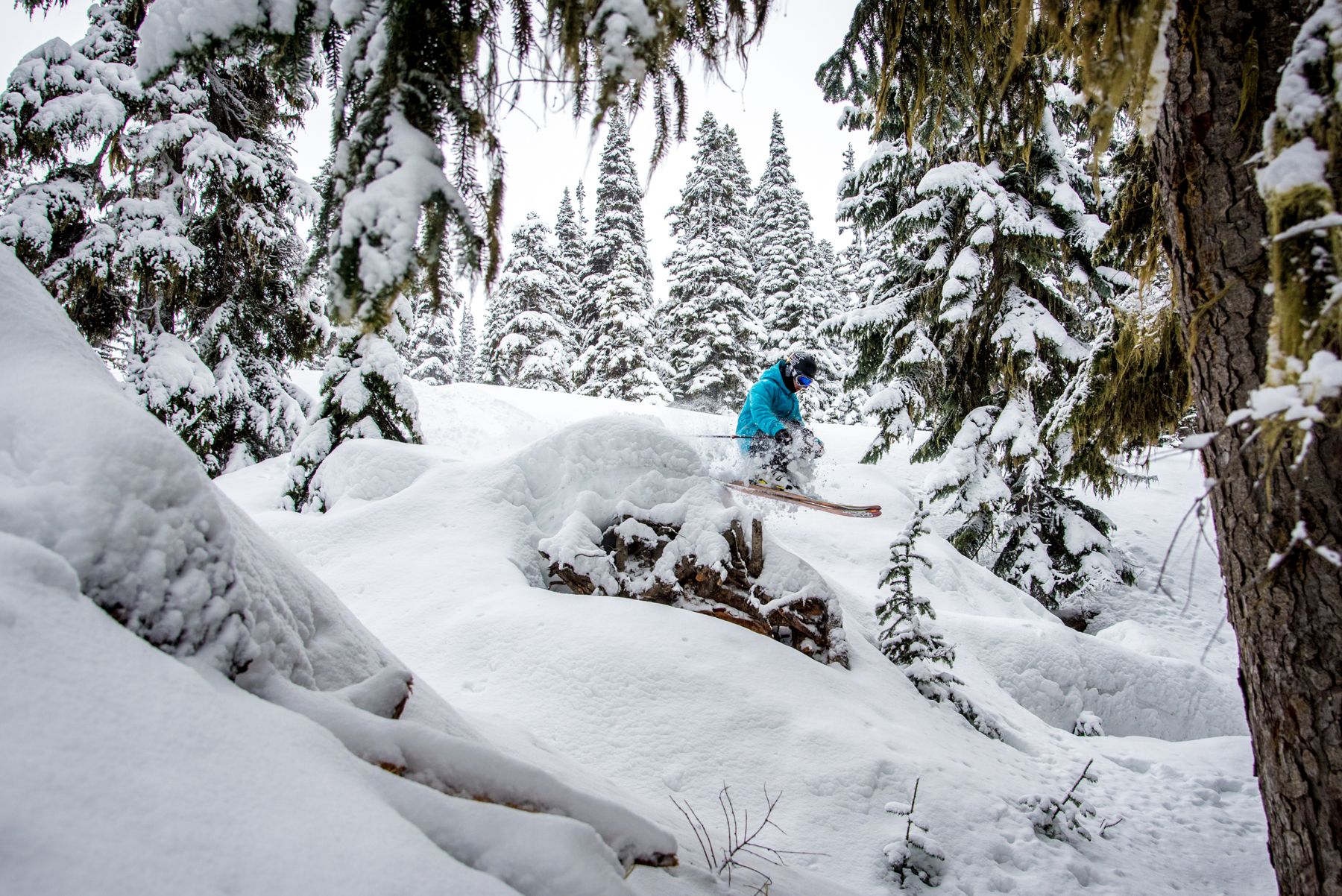 Whistler, B.C. this week.  Photographer: Jason Jo at Coast Mountain Photography Skier: Greg Lum