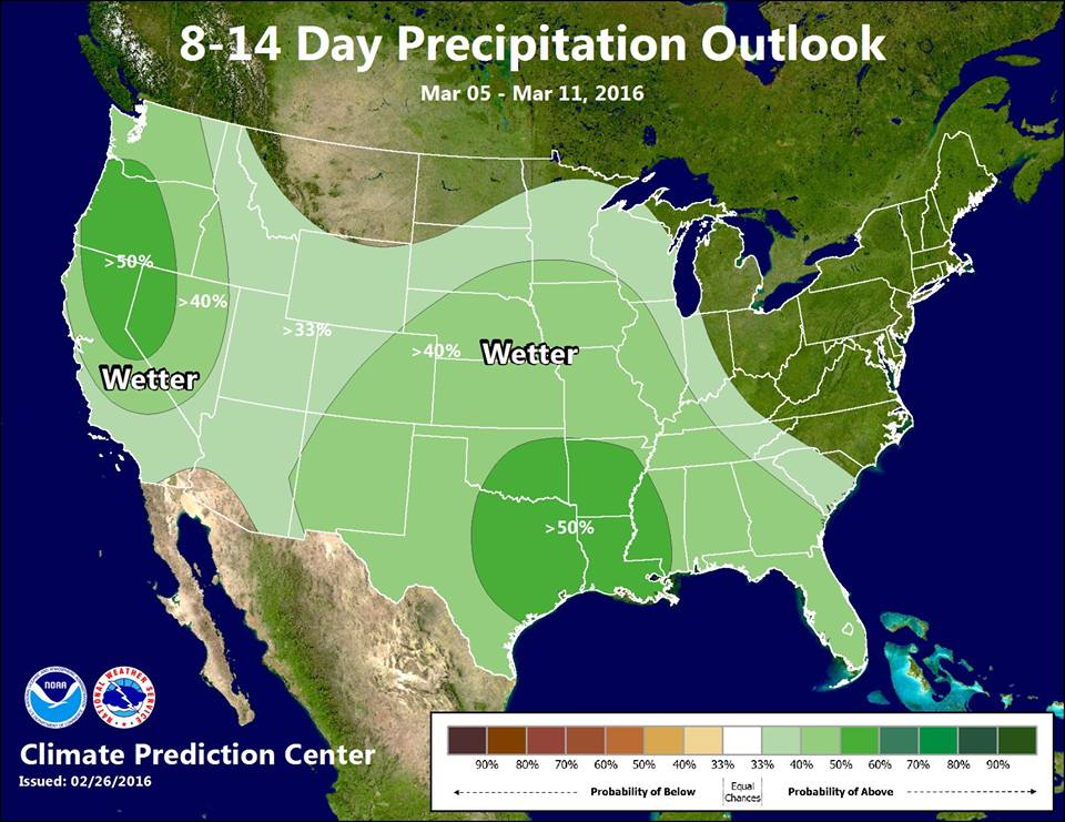Above average preciptitaion is forecast for all of the Western USA ski country from March 5th - 14.  image;  noaa, today