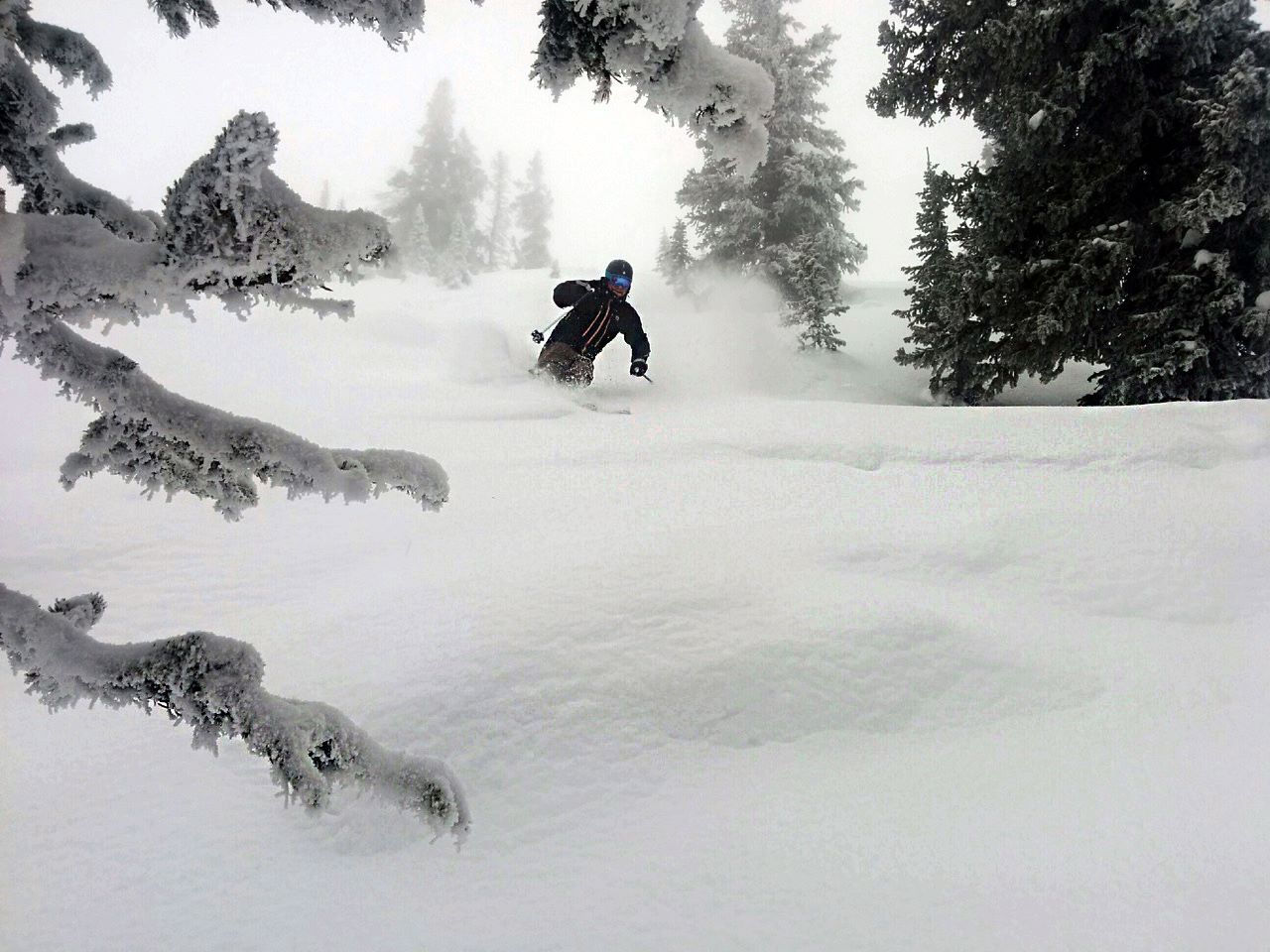 "It's a cool whip day out there with 4 inches of new snow - Targhee style! Enjoy your President's Day turns!" - Grand Tarhgee, WY today