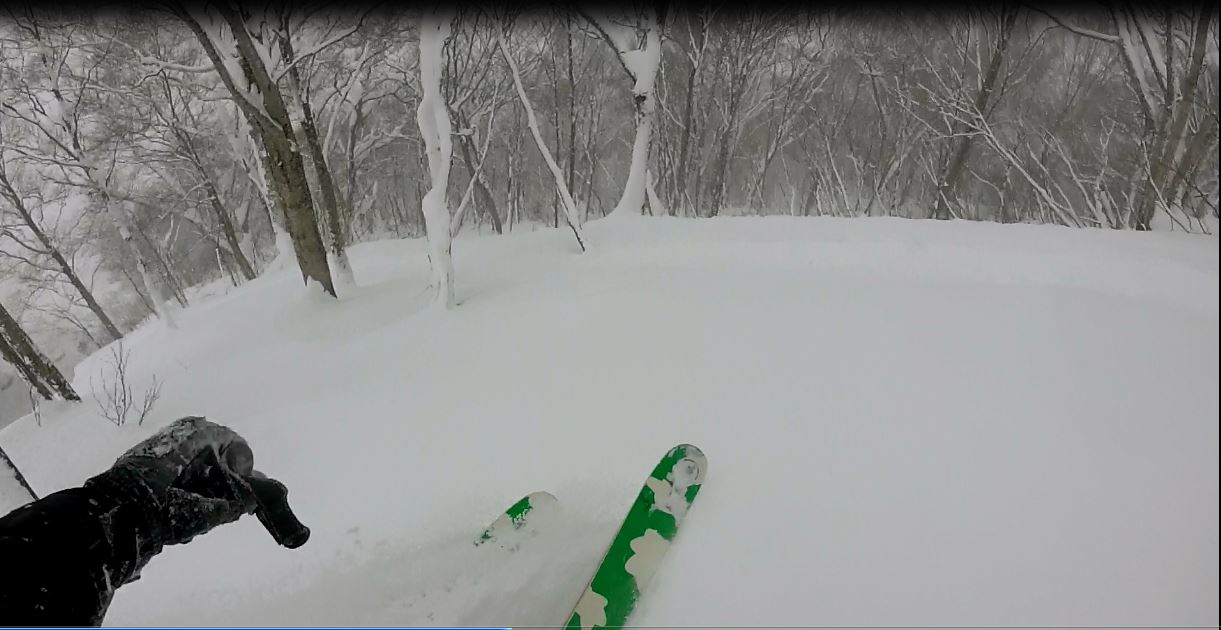 Japan is know for deep powder tree skiing and the hype is real 