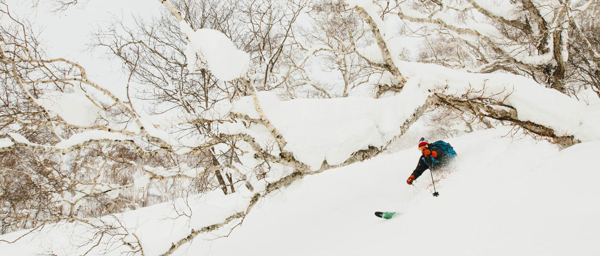 skier ripping backcountry powder in Japan