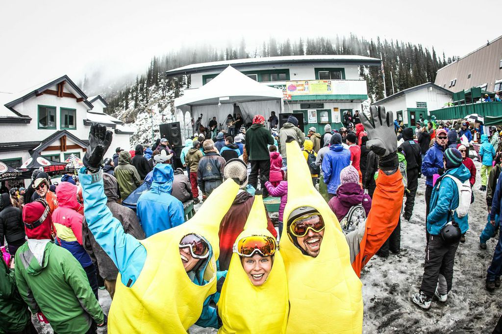 Gang of bananas spotted in Colorado