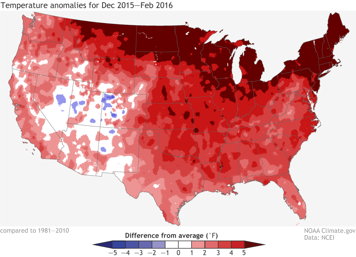Winter temperatures (December 2015-February 2016) compared to the 1981-2010 average. It was the contiguous U.S.' warmest winter on record. NOAA Climate.gov map based on analysis by Jake Crouch, NCEI.